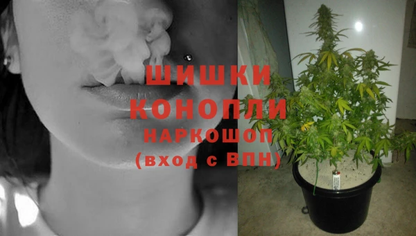 экстази Пестово