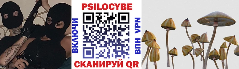 Псилоцибиновые грибы мухоморы  маркетплейс состав  Анадырь 